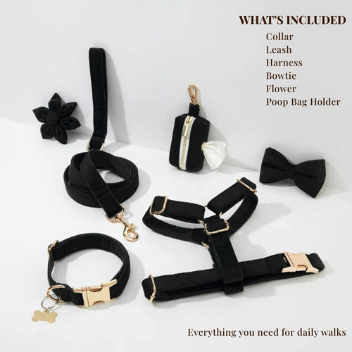 Black Velvet Set