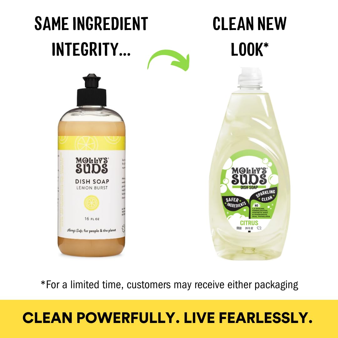 Molly's Suds Liquid Dish Soap | Clean, Simple Ingredients | Extra Scrubbing Power | Lavender Scent, 24 oz - 2 Pack