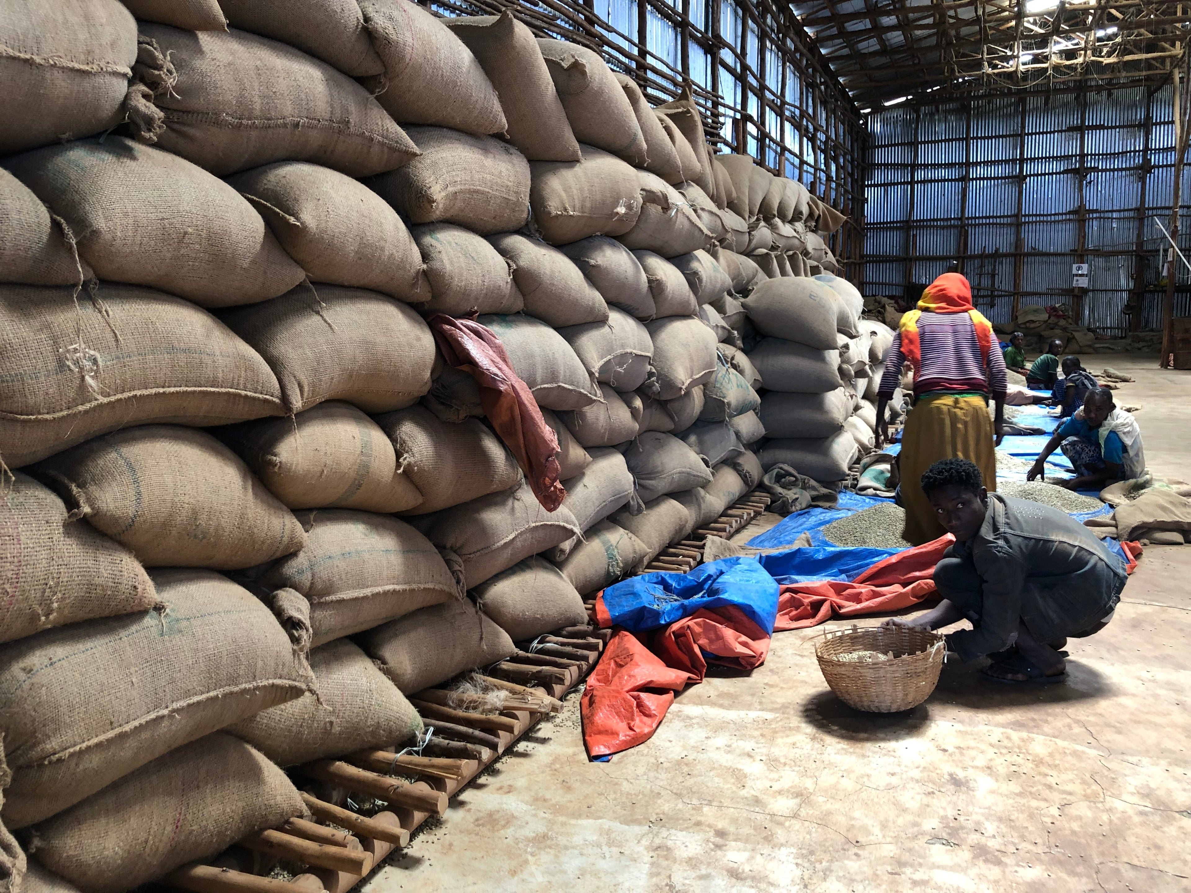 Grow To Market 12oz Organic Ethiopian Coffee