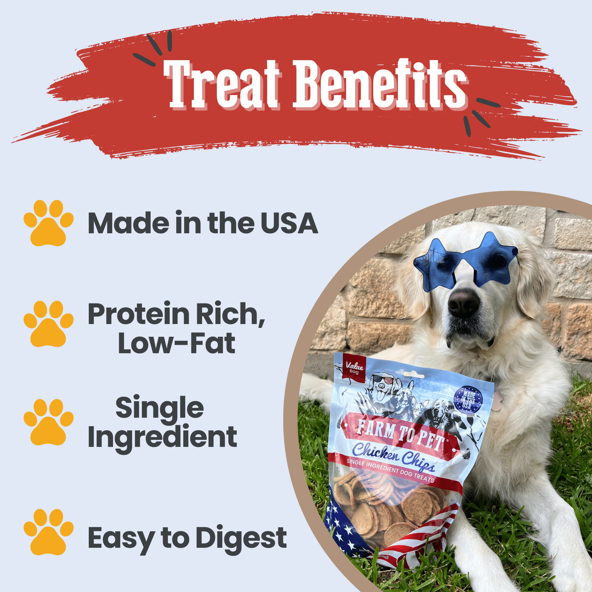 Americana Chicken Chips USA-made dog treats