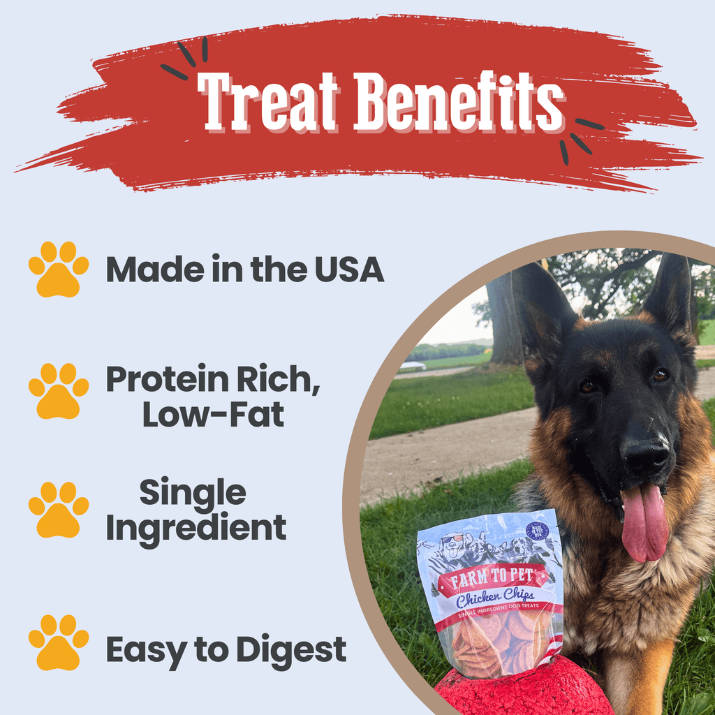 Americana Chicken Chips USA-made dog treats