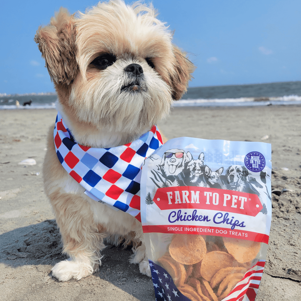 Americana Chicken Chips USA-made dog treats