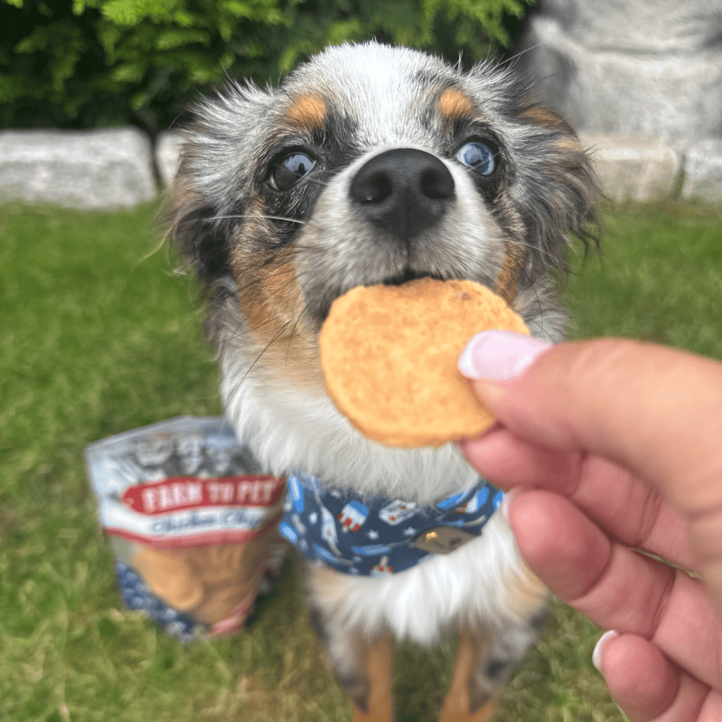 Americana Chicken Chips USA-made dog treats