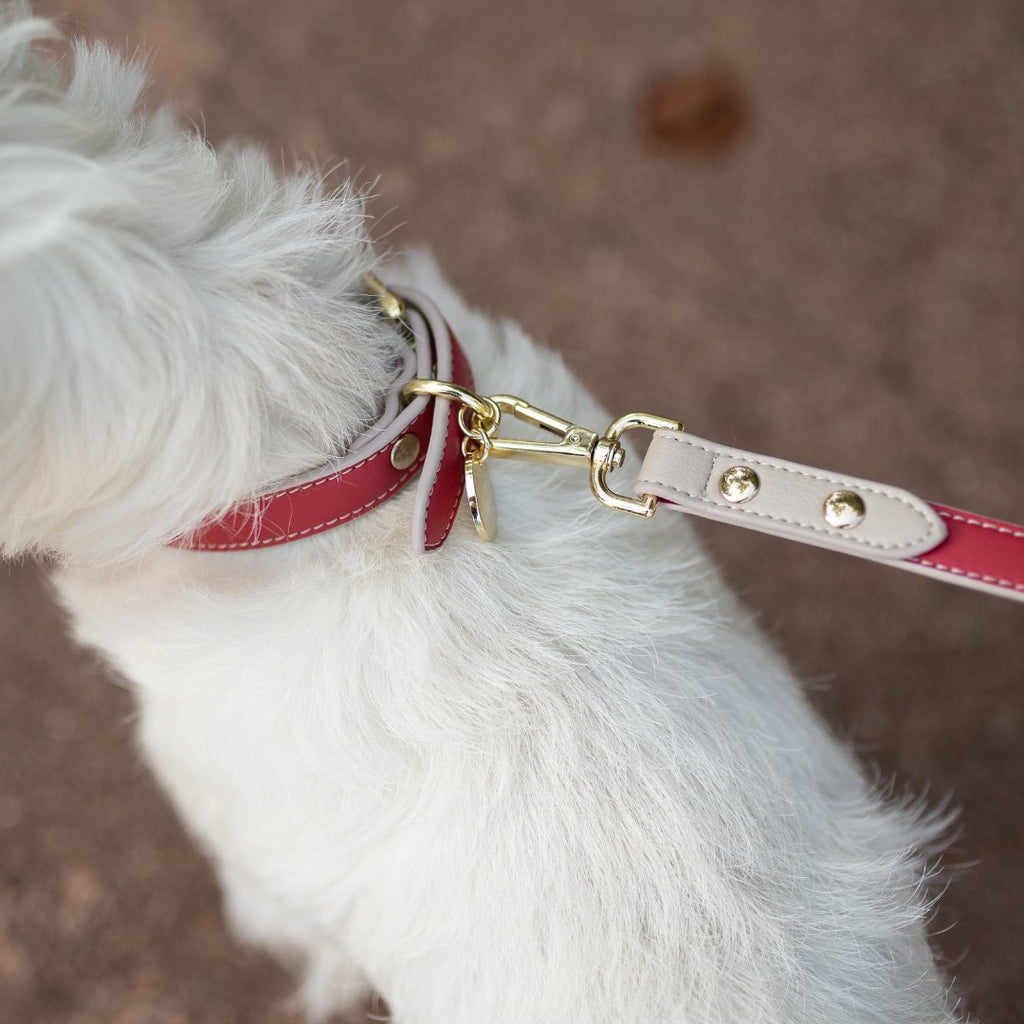 Leash 4ft - Vegan Leather - Copenhagen